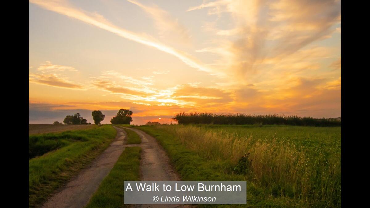 20_A Walk to Low Burnham_Linda Wilkinson